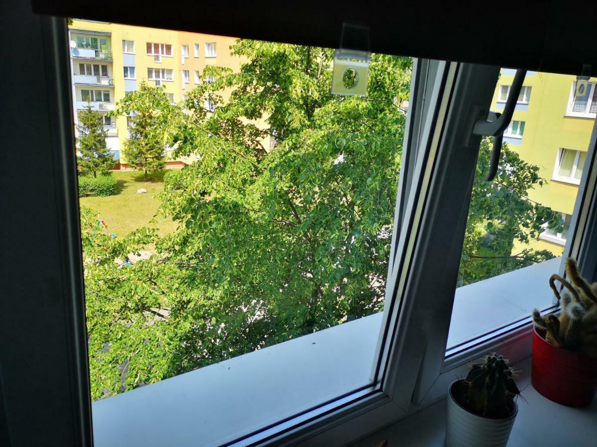 Poza Zgielkiem Miasta, A Jednak Wszystko W Zasiegu Bydgoszcz Exterior photo